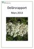 Delårsrapport. Mars 2013