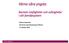 Värna våra yngsta. Barnets möjligheter och svårigheter i sitt familjesystem. Monica Hedenbro. Socionom Leg.Psykoterapeut Med.