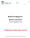 Kvalitetsrapport gymnasieskolan