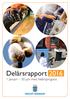 Delårsrapport januari 30 juni med helårsprognos