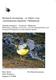 Biologisk inventering - av främst vissa vattenanknutna fågelarter i Mölndalsån