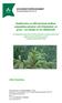 Jämförelse av tillväxtrytm mellan somatiska plantor och fröplantor av gran en studie av tre fältförsök
