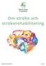 Om stroke och strokerehabilitering