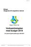 Verksamhetsplan med budget 2019