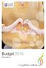 Budget Plan