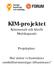 KIM-projektet. Kommunalt och Ideellt Medskapande. Projektplan: Hur möter vi framtidens samhällsutmaningar tillsammans?