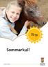 Sommarkul! Kultur & fritid