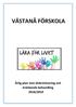 Bakgrund. 3. Grunduppgifter...3. Utvärdering...4. Kartläggning och främjande insatser utifrån diskrimineringsgrunderna..6