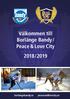 Välkommen till Borlänge Bandy/ Peace & Love City 2018/2019