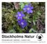 Stockholms Natur PROGRAMBLADET FEBRUARI AUGUSTI 2019 STOCKHOLMS OCH SÖDERORTS NATURSKYDDSFÖRENINGAR ÅRGÅNG 32