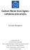 Carbon fibres from lignincellulose