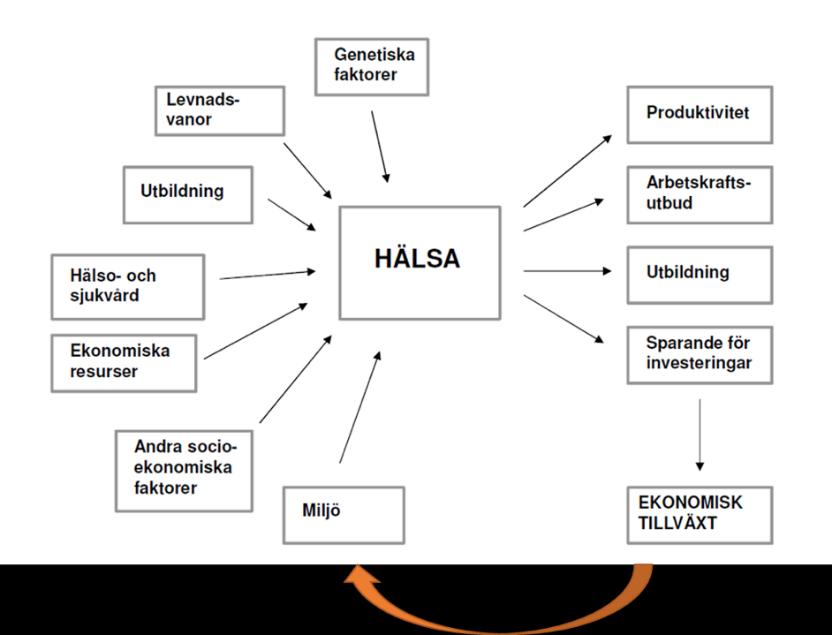 därför en roll att fylla genom att skapa förutsättningar för en jämlik hälsa och jämlika möjligheter till utveckling för de grupper som har mindre av egna resurser att påverka