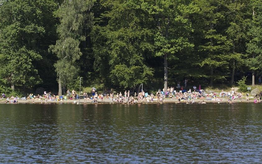 Utveckling av fångstmetoder och vård av fisksamhället i Bosarpasjön 2012-2013 Med finansiering av Leader Lag PH & LOVA En rapport om åtgärderna och resultatet av Heléne