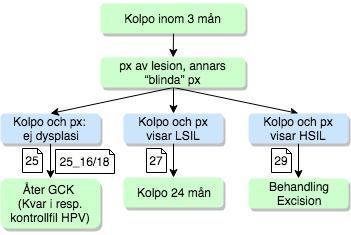 Flödesschema 5: Persisterande HPV-infektion Se rekommendationsruta, 15.5.2 Sid 81 i vårdprogrammet.