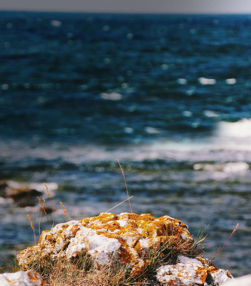 TILL DIG SOM ÄR FÖRÄLDER MITT I LIVET Vi vill inbjuda dig till ett koncept som innebär att vi under hösten träffas fem kvällar kl. 18-20, samt har en övernattning vid havet.