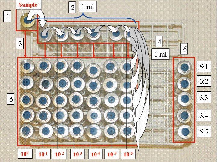 3.6.1 Nitrate consumed by nitrate-reducing bacteria A cadmium reduction method (0.3 30 mg/l NO 3 - N) was used, according to HACH DR/2500, Method 8039 for water, wastewater, and seawater. 3.6.2 Ferrous iron from iron-reducing bacteria A phenanthroline method (0.