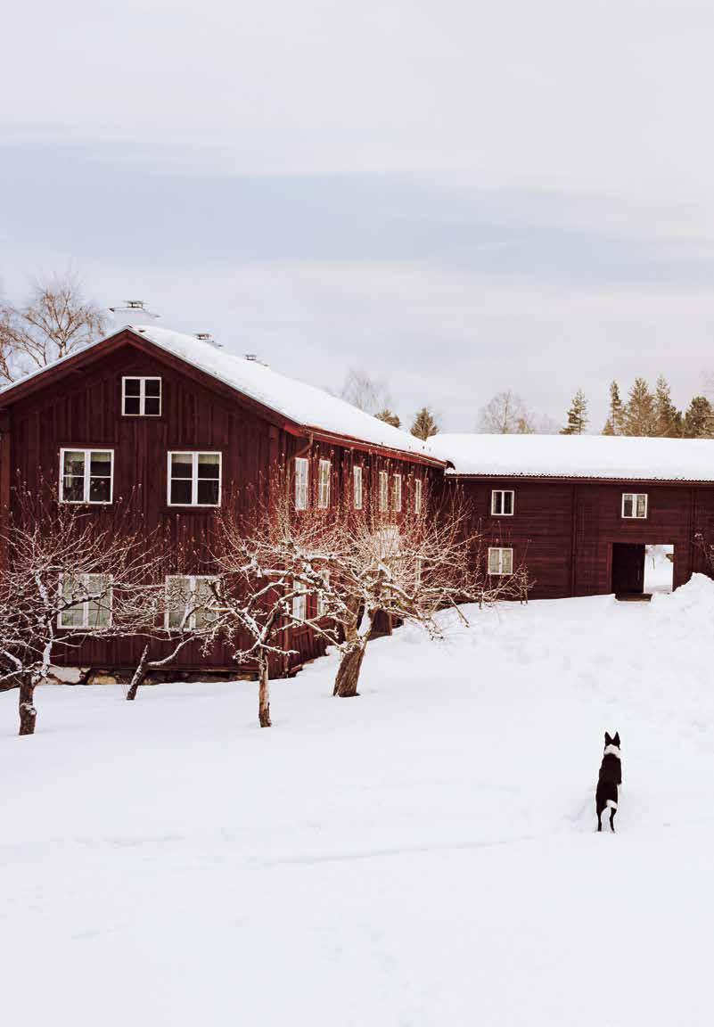 Copyright: Länsstyrelsen Gävleborg Form: Matador Kommunikation Skribent: Lenita Jansson Herlitz Källtexter: