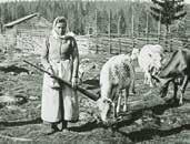 fantasifullare måleri. Husets nuvarande inredning kom till på 1850-talet då rummen dekorerades av den kände allmogemålaren Anders Ädel. Guds allseende öga bevakade brudparet T.V.