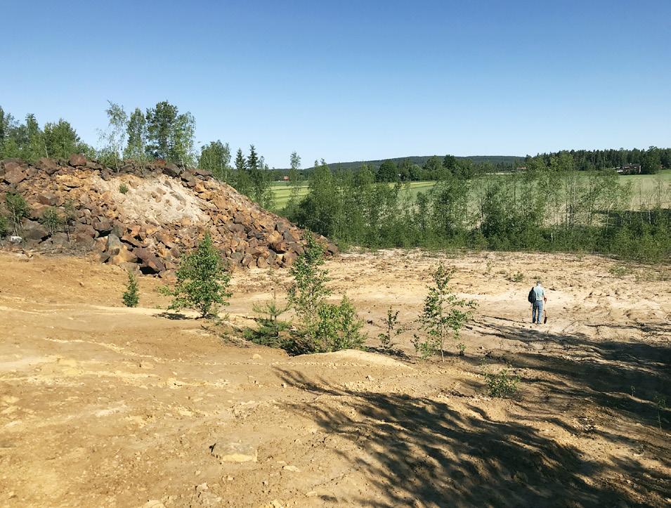 Innovationskritiska metaller och mineral Innovation-critical metals and minerals År 2016 fick SGU ett uppdrag av regeringen att kartlägga möjligheterna för utvinning i Sverige av de metaller och
