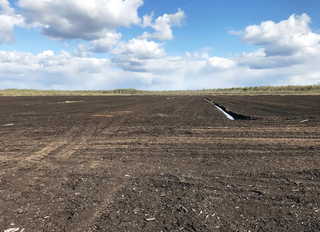 Energitorv Energy peat Under 2018 uppgick produktionen av torv i Sverige till cirka 3 miljoner kubikmeter.
