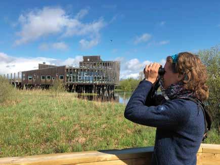 NATURUMS PROGRAM 17 JUNI 18 AUGUSTI 2019 Sommar i Vattenriket
