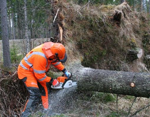 Starta motorsågen och gör en funktionstest genom att gasa upp varven på sågen och utlös kedjebromsen genom att föra fram vänster underarm mot kastskyddet.
