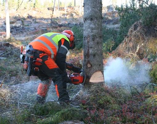 En sliten kedja kan gå av och skada huggaren genom den snärt som uppstår. En länk som lossnar kan bli en farlig projektil!