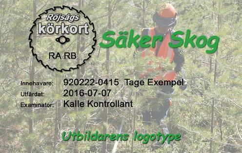 Allvarligaste olyckorna inträffar ofta i samband med fastfällning eller när flera arbetar tillsammans utan att beakta säkerhetsavstånden