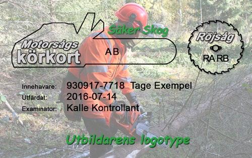 När du jobbar i skogen ska du alltid ha en komplett skyddsutrustning, det vill säga hjälm, benskydd, skyddsskor, handskar och hörselskydd.