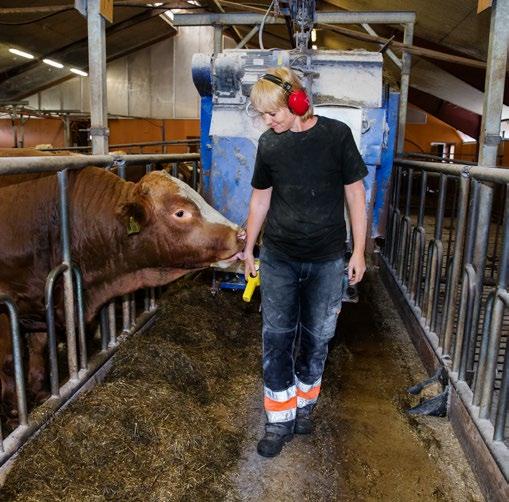 Det händer aldrig mig Så tänker nog de allra flesta när de läser om bränder och olyckor som inträffar i lantbruket. Gör inte du också det? Men olyckor av skilda slag kan hända vem som helst.