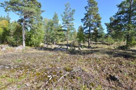 Fjärilarnas Marker i Stora Vika 2009-24 Effekter av naturvårdsåtgärder på kalkhällmarkerna en uppföljande växtinventering 2013 Göran Palmqvist och