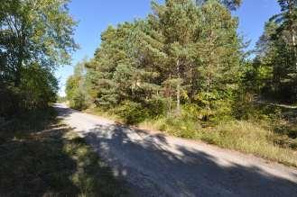 I provyta III har förekomsten av kattfot i sammanlagt 500 undersökta 10x10 cm-rutor ökat från 217 till 225, och i provyta IV har förekomsten i sammanlagt 400 undersökta 10x10 cm-rutor ökat från 144