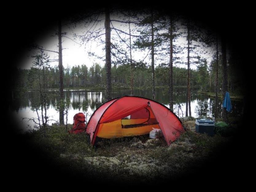 och som man önskat att man gjort mer av Nöjes- och motionspromenader Varit ute i skog och mark för naturupplevelse Badat i