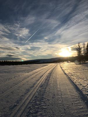 Varför ha ett adferdsperspektiv på FA?