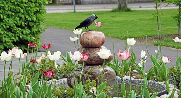 Parken har nyligen rustats upp med bland annat en fontän, plantering av diverse exotiska träd