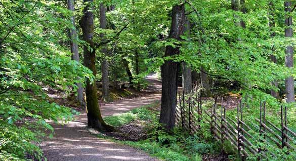 KUNGSBACKA- SKOGEN I centrala Kungsbacka ligger detta omtyckta skogs- och rekreationsområde