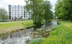 SÖDERÅ- PARKEN Söderåparken ligger invid gångbron över Söderå till Aranäs