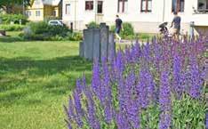 Initiativet kom från den ideella föreningen Kungsbacka Trädgårdsvänner och