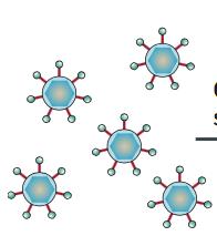 ligands that could potentially be used to target and kill melanoma cells. We decided to attempt genome-wide CRISPR/Cas9 screening using the GeCKO library to identify the receptor (Sanjana et al.