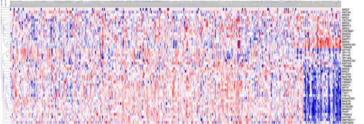by mutations (Brinckerhoff, 2017; Cheli et al., 2014; Croteau et al., 2013; Falletta et al., 2017; Hoek et al., 2008; Kim et al., 2017).