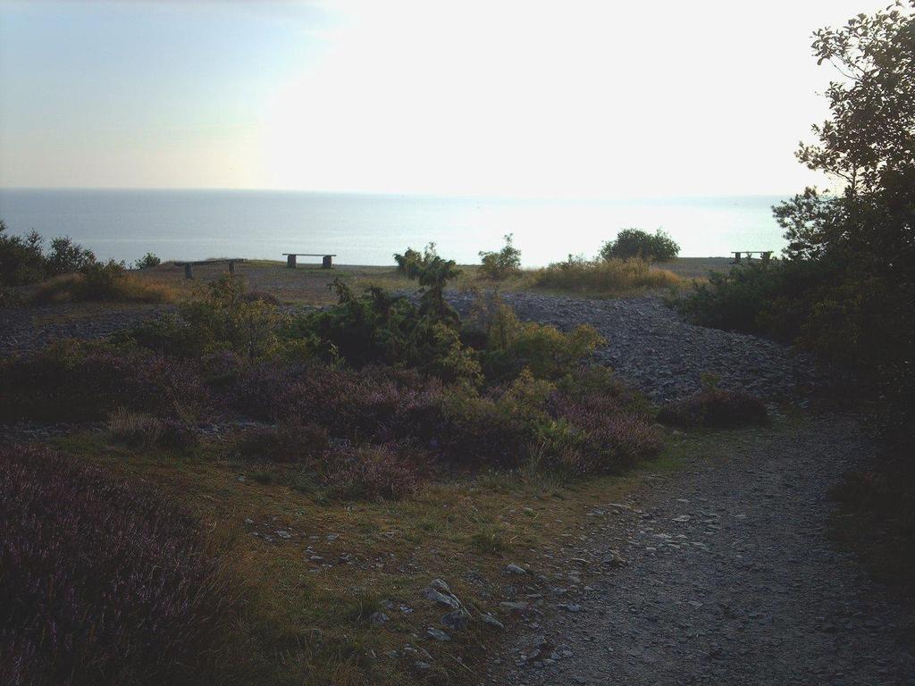 Skallen