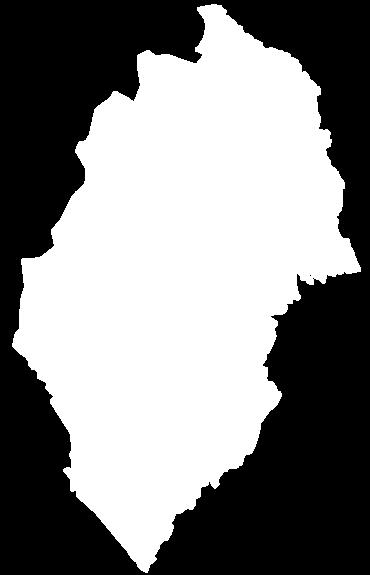 Norra Skogsägarnas affärsidé är att samarbeta för ett aktivt och hållbart privatskogsbruk i Norraland (Norra Skogsägarnas verksamhetsområde) samt att vara en samarbetspartner för kvalitetsmedvetna