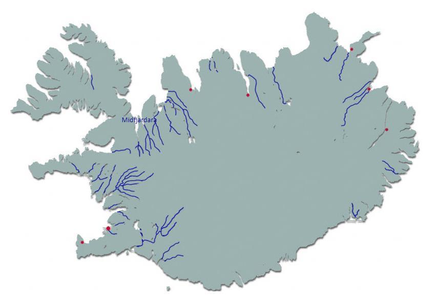 Miðfjarðará En av Islands bästa vildlaxälvar, C&R 189 km norr om Reykjavik (3 tim med bil) Tre biflöden: Austurá, Núpsá och Vesturá 115 km fiskesträcka uppdelat på 5 beats