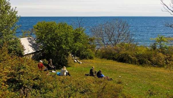 Vilken plats för en fika! Dessutom blåhake. Klockemannens hus, Buskahojan 15 maj.