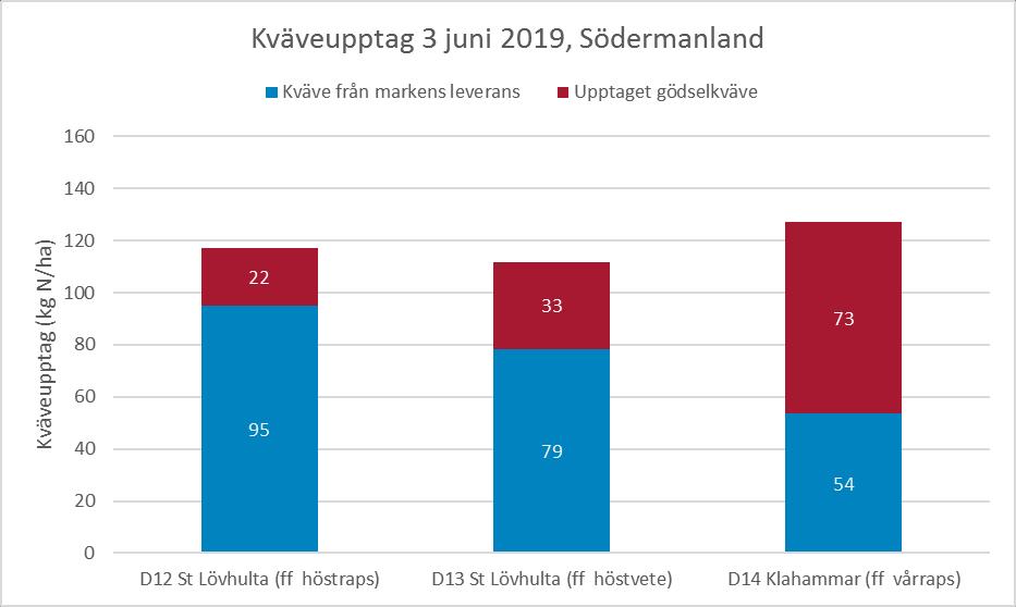 veckorna tycks kväveupptaget ha planat ut i både nollrutor och gödslade fält. Eventuellt kan mätvärdena påverkas av att flaggbladet är fullt utväxt.