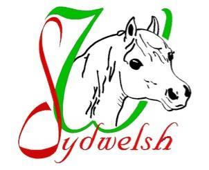 R E S U L T A T Sommarutställning Bjärsjölagård 1 juli 2018! A. WELSH MOUNTAIN Klass 4. Welsh Mountain ston födda 2017 1 KASH ESTHER 36-17-3827 STRUKEN e. Ekbäckens Sponken RWM 51 u.