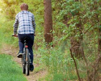 Orkar du inte laga kvällsmat kan du ta cykeln och njuta av havets läckerheter på Lyckorna Brygga,