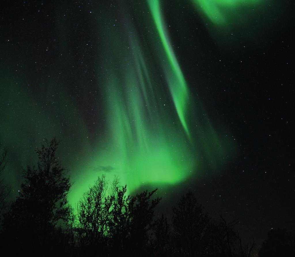 GABRIELLA STENBERG WIESER FOTO: HANS NILSSON Figur 5: Norrsken. Det typiska gulgröna ljuset sänds ut av syreatomer som exciterats på 100 km höjd ovanför marken. göra sig av med energin i kollisionen.