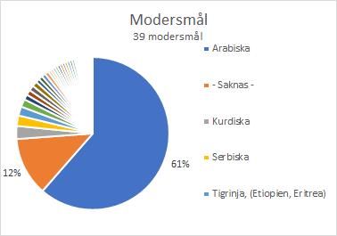 Grundläggande vuxenutbildning 4.1 Eductus när och flexstudier Elever På Eductus gick det 363 unika elever år 2017, 52% var kvinnor och 52% var män.