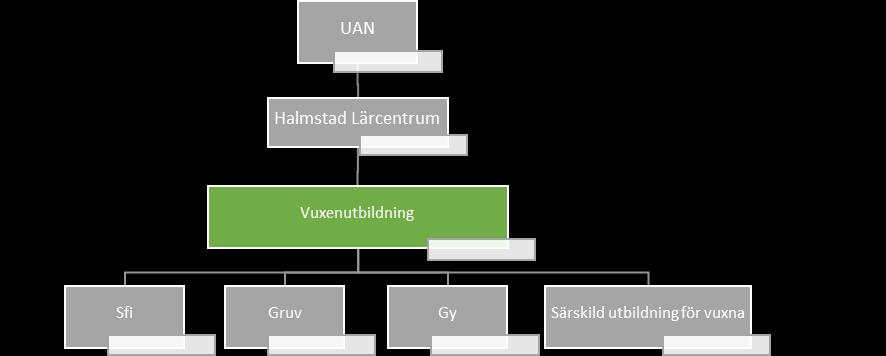 Inledning 1.1 Vuxenutbildning i Halmstad Halmstad Lärcentrum är huvudman för vuxenutbildningen i Halmstad kommun.